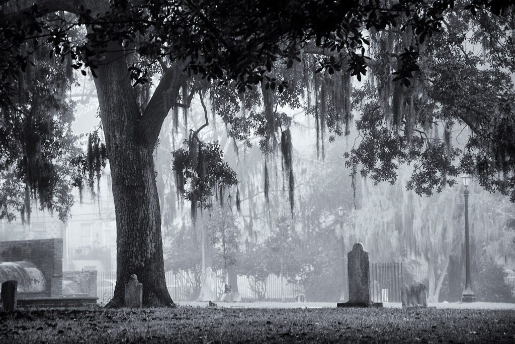 Fog Over Colonial Park