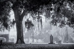 Fog Over Colonial Park - Mark Coggins Photography