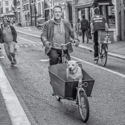 Dog Is My Co-Pilot, Amsterdam, 2016