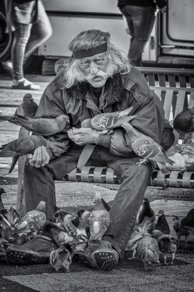 With Pigeons, San Francisco, 2015