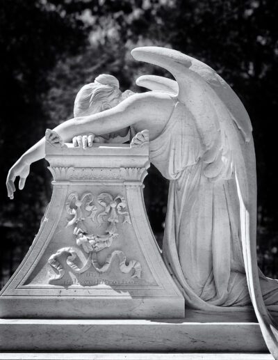 Stanford Angel, Stanford, 1998