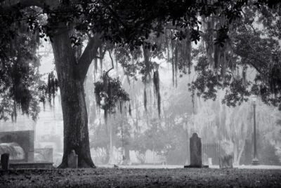 Fog over Colonial Park, Savannah, 2008
