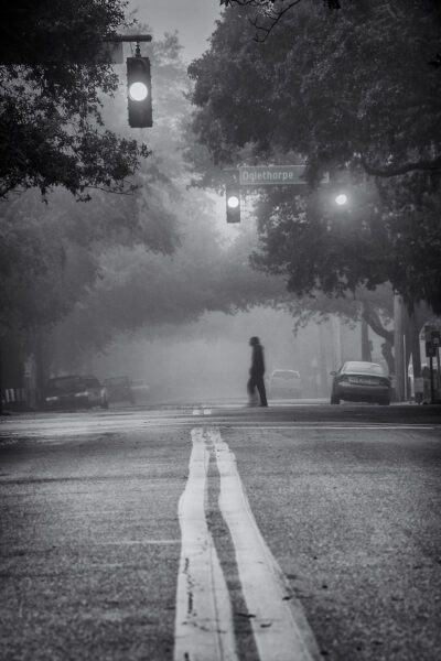 Fog on Oglethorpe Avenue, Savannah, 2008