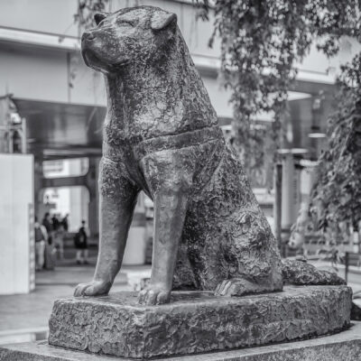 Statue of Hachikō