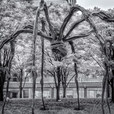 Spider statue in Roppongi Hills