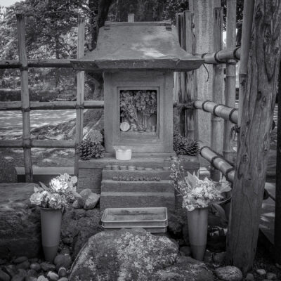 Hachikō's grave
